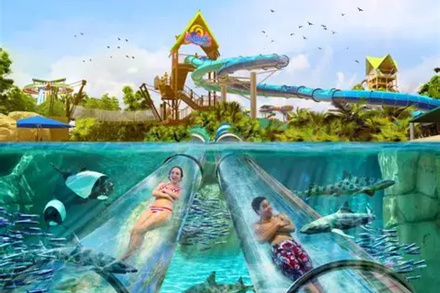 Siam Park Tenerife – Entrada