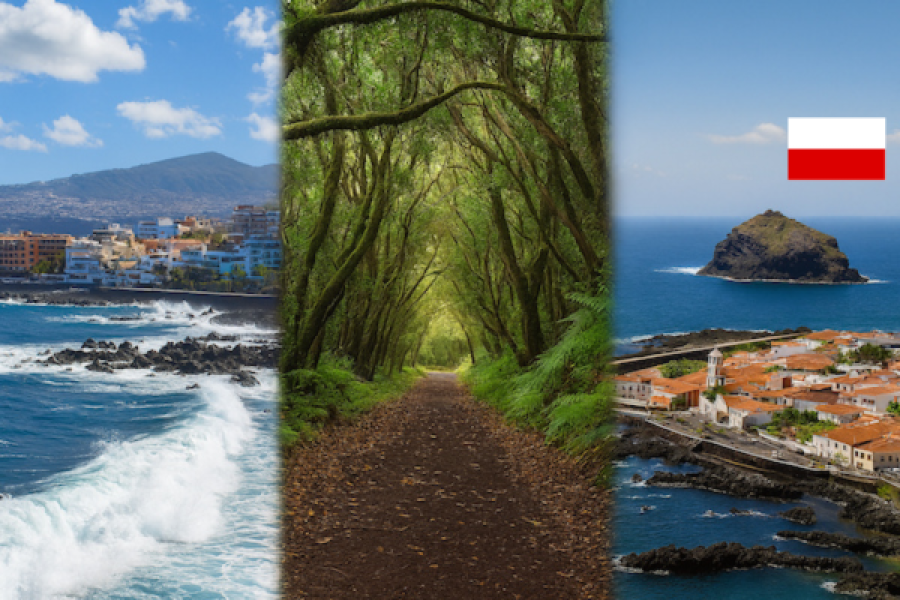 Excursión con guía polaco en Tenerife – Descubre los tesoros del norte de la isla