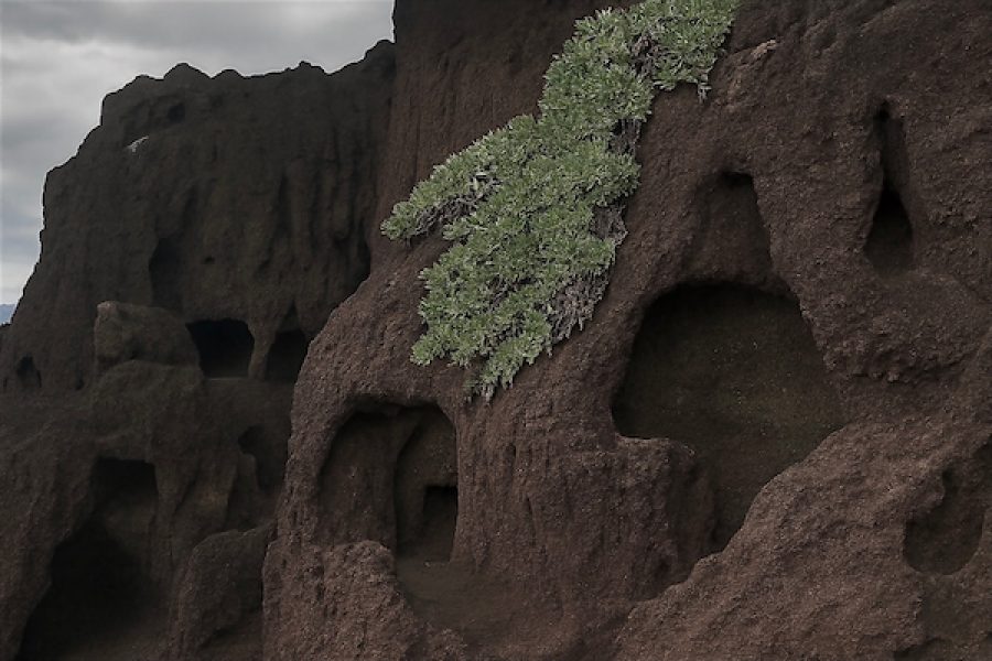 Excursión con guía polaco en Gran Canaria – las cuevas escondidas (salida del sur)