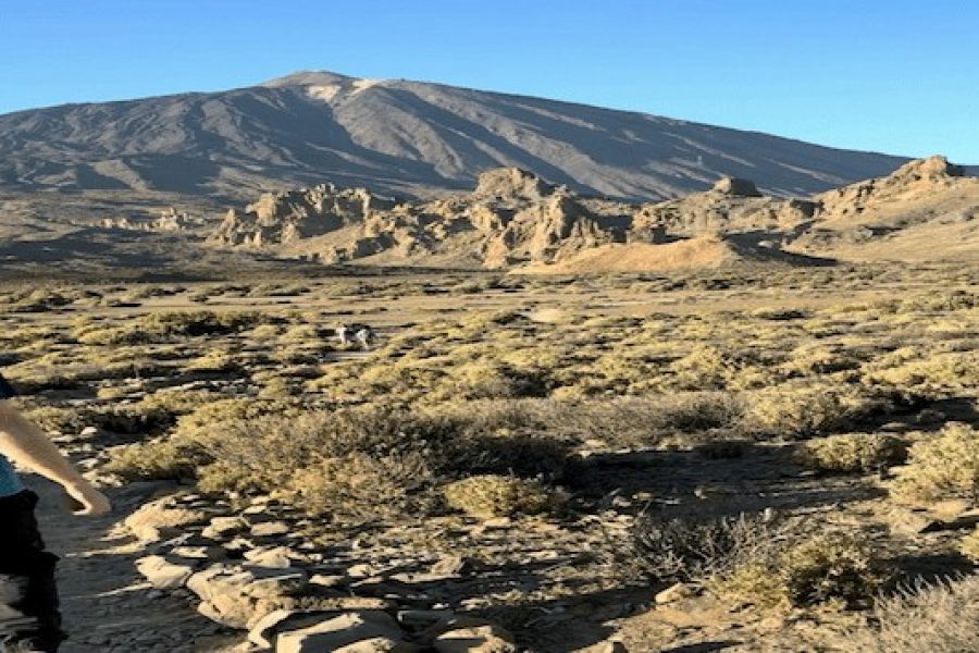Excursión privada con guía polaco en Tenerife – Descubre la isla (salida del sur)