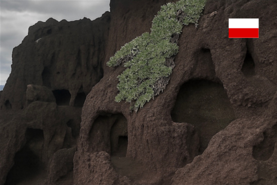 Excursión con guía polaco en Gran Canaria – Cuevas escondidas (salida del sur)