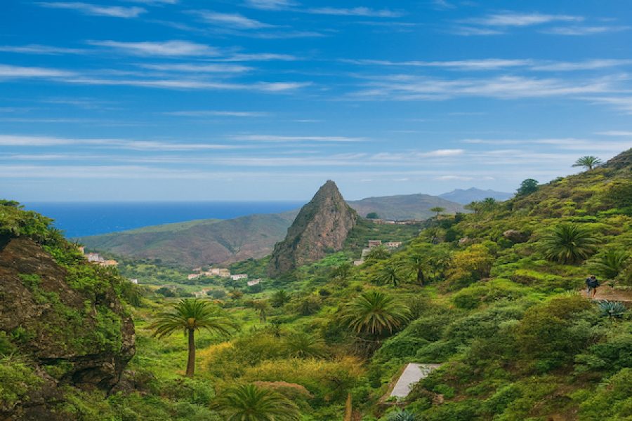 Excursión con guía polaco a La Gomera desde Tenerife (salida del sur)