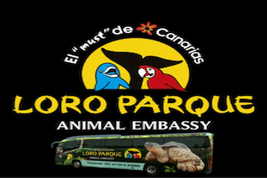 Loro Parque Tenerife – Entrada con transfer (salida del sur)