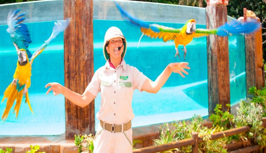 Jungle Park  Tenerife – Entrada