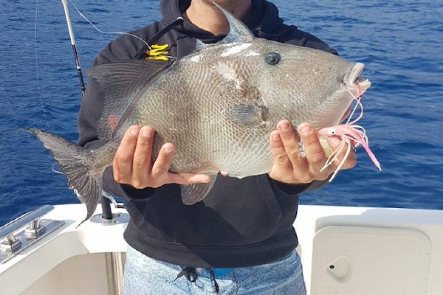 Excursión de Pesca en Tenerife (sur)