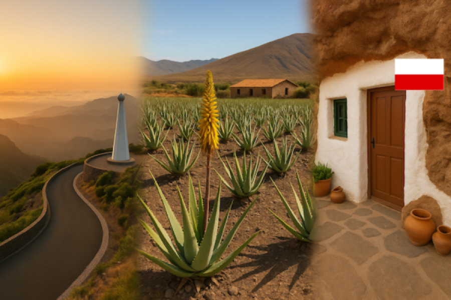Excursión con guía polaco en Gran Canaria – El continente