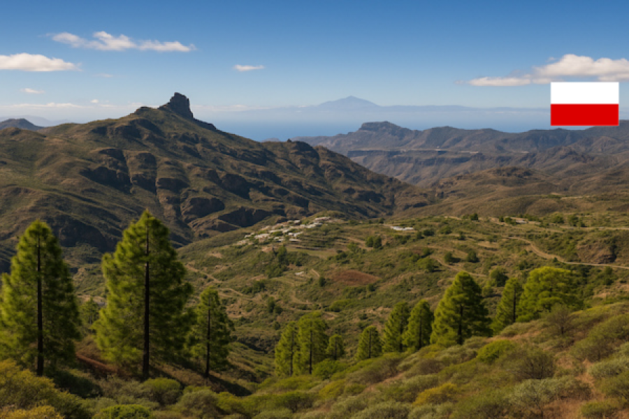 Excursión con guía polaco en Gran Canaria – Camino Azul