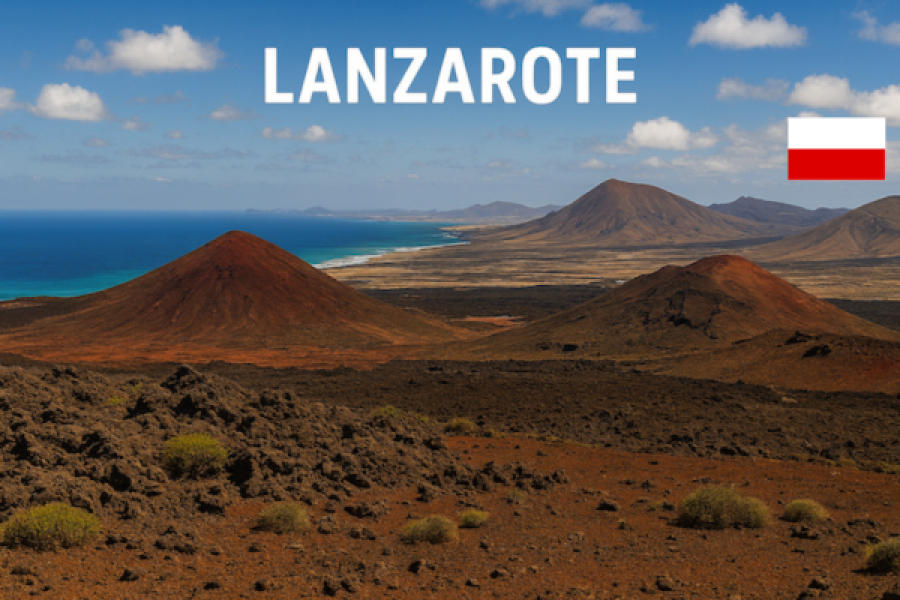 Brown Tour in Lanzarote in One Day (Polish guide)