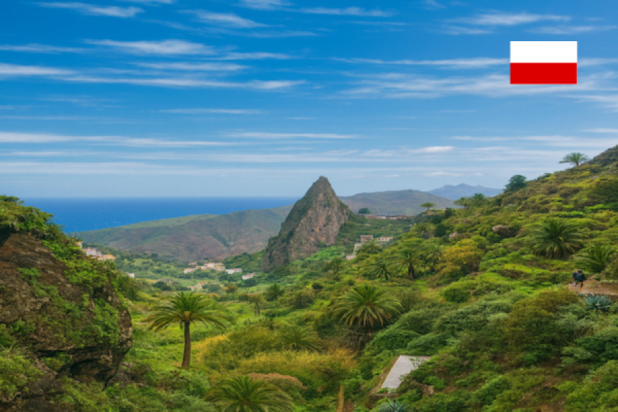 Excursión con guía polaco a La Gomera desde Tenerife (salida del sur)